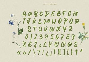 Klorofeel - Elegant Font
