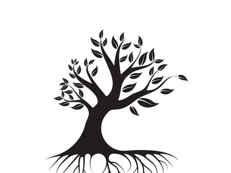 Root Leaf Family Tree of Life Oak Banyan Maple Stamp Seal Emblem Label logo design vector