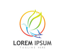 Beautiful and colorful butterfly creative logo design.