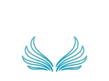 Falcon Wing  Vector Logo Icon Template