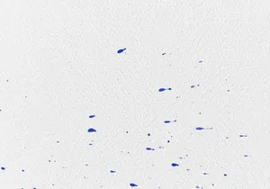 Watercolor Spray & Splatter Photoshop Brushes