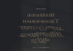 Bequta | Luxury Modern Serif