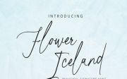 Flower Iceland Calligraphy Font