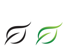 Ecology icon green leaf vector illustration design