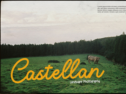 Averty Meadow | Monoline Script