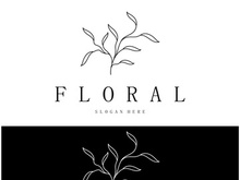 Elegant floral and leaf frame. Delicate botanical vector illustration for labels, spas, corporate identity, and wedding invitations