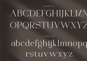 VIBERATE || ligature typeface