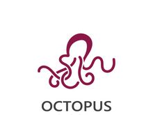 Octopus logo image design icon illustration animal vector