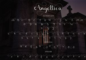 Angellica