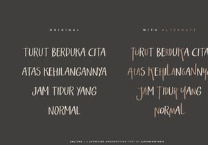 Salting - Handwritten Font
