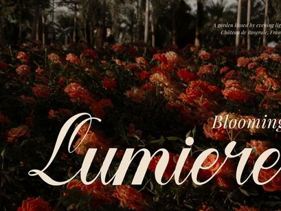 Larfioda | Elegant Script Font