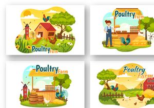 13 Poultry Farm Vector Illustration