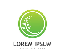 Natural green leaf logo design.