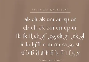 Vanger _ modern serif font