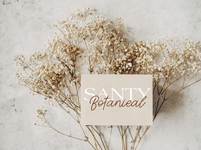 Wonderland - An Elegant Script Font