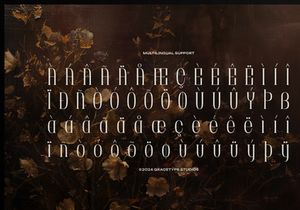 Brunelis Noctelle | Display Serif Font