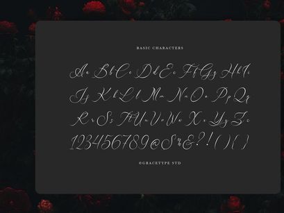Avilantery | Elegant Calligraphy Script