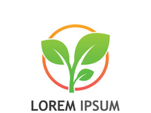 Natural green leaf logo design.