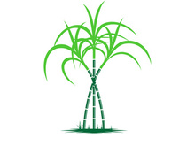 Sugarcane logo vectcr