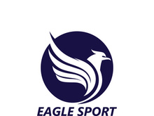 Eagle wing logo design vector image template