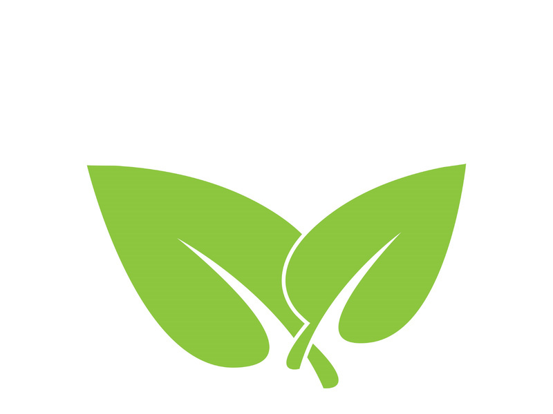 Leaf logo vector icon design template