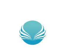 Falcon Wing  Vector Logo Icon Template