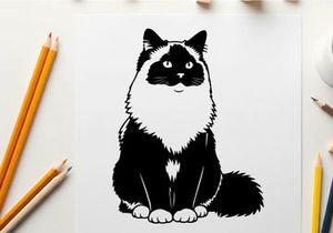 Silhouette of a black and white cat sitting down