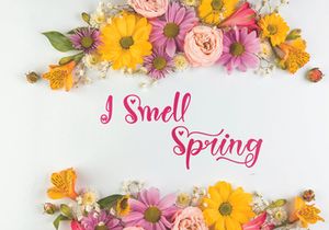 Spring Heart