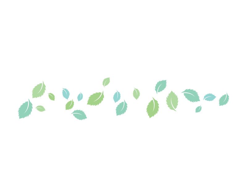 Mint Leaf icon template  illustration