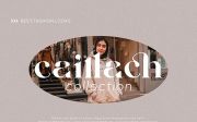 Elegant brand font material