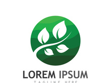 Natural green leaf logo design.