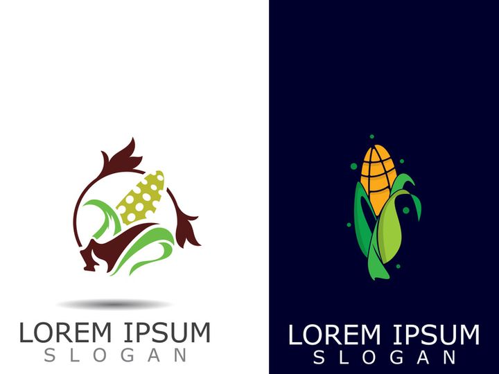 Corn simple logo design agriculture farming vector template
