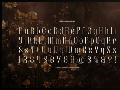 Brunelis Noctelle | Display Serif Font
