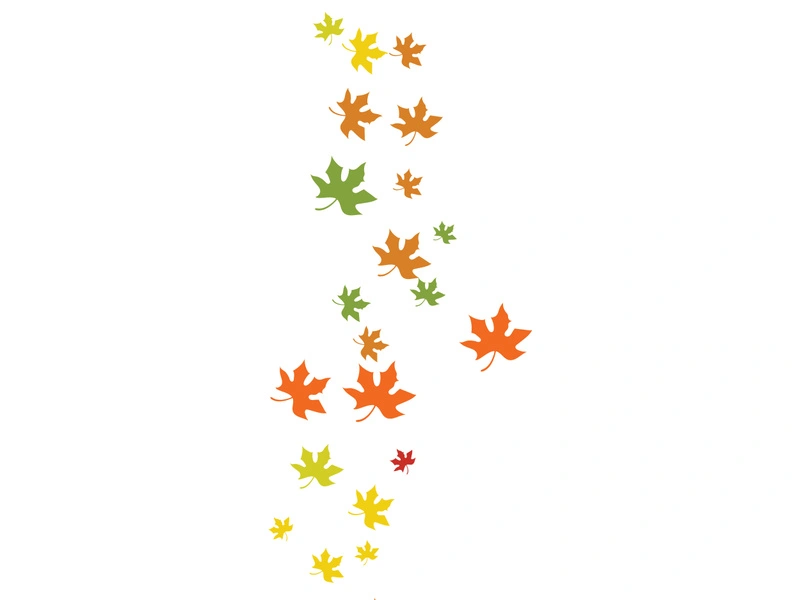 Maple Leaf design illustration