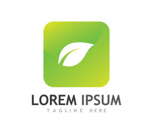 Natural green leaf logo design.