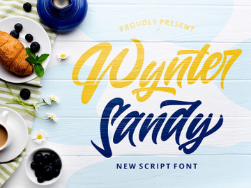 Wynter Sandy - Bold Script Font preview picture