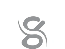 Business corporate S letter logo design vector