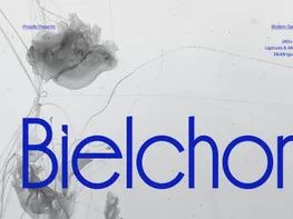 Imagen de vista previa de Bielchon | Modern Sans Serif