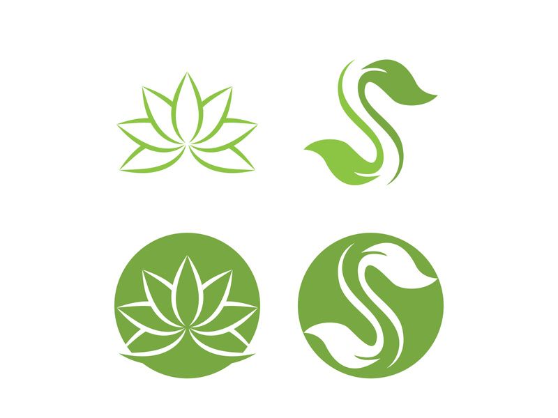 Vegan leaf green eco logo nature