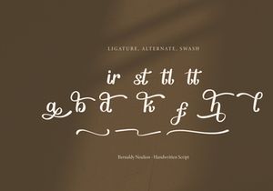 Bernady Neulion | Handwritten Script Font
