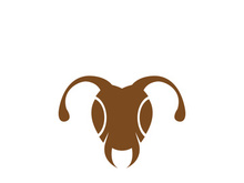 ant head logo