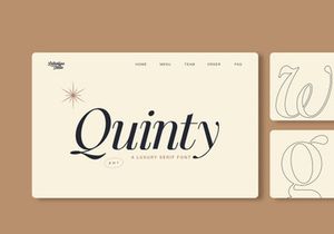Quinty a Luxury Serif Font Family