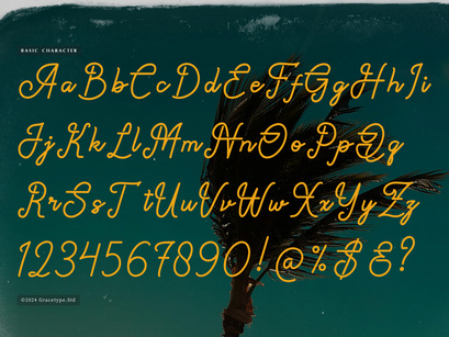 Paradise Gallaiso | Monoline Script Typeface