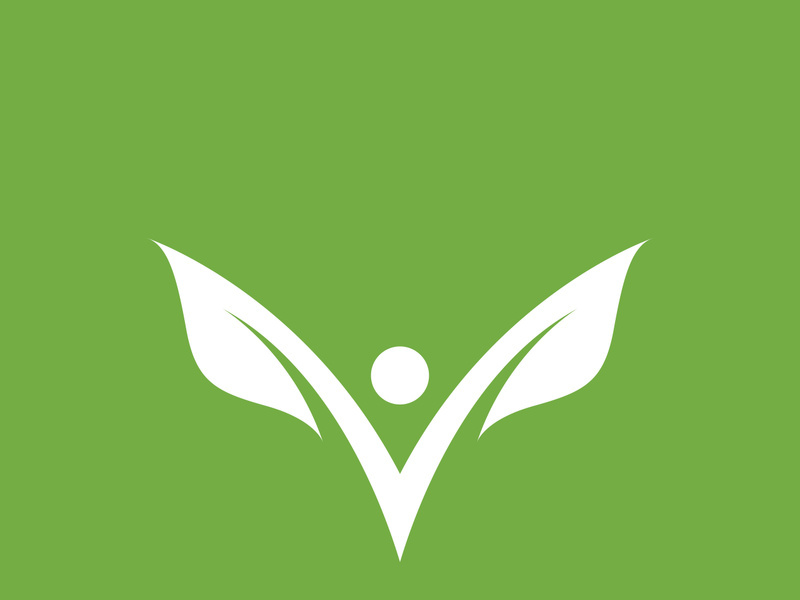 Leaf logo green nature vector image
