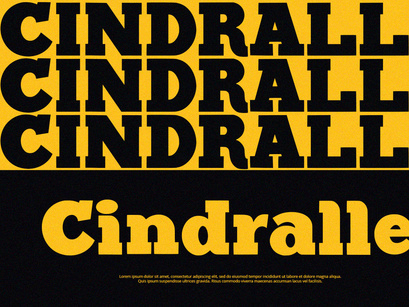 Black Bullet - Serif Font