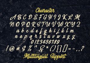 Megahunt - Brush Script Font