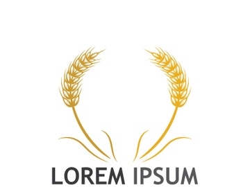 Organic wheat farm logo template. preview picture