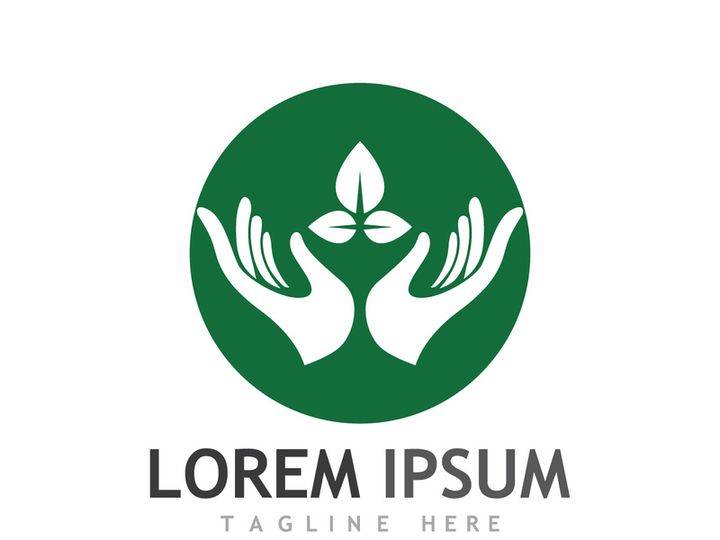 Natural green leaf logo design.