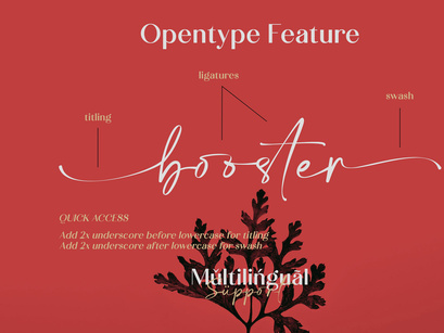 Calton Elegance Font Duo