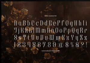 Brunelis Noctelle | Display Serif Font